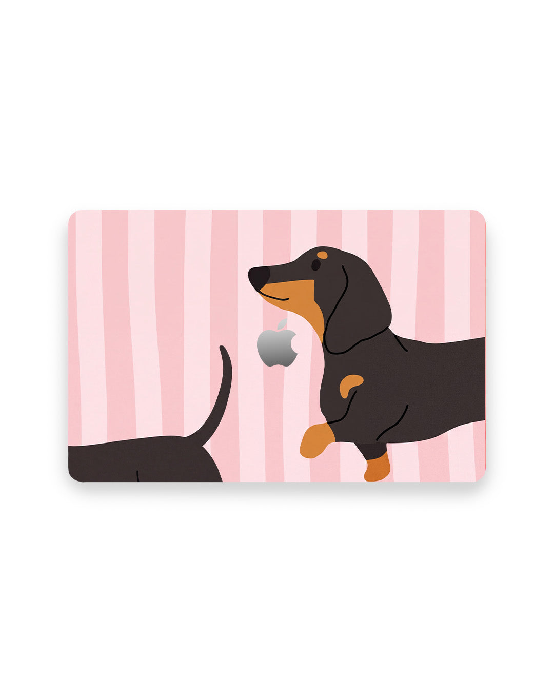 Doxie Love